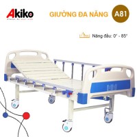 Giường bệnh nhân 1 chức năng AKIKO A81