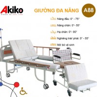 Giường bệnh nhân tách xe lăn 3 tay quay AKIKO-A88